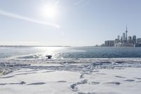 Coastal City: Water Horizon in the Daytime