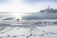 Coastal City: Water Horizon in the Daytime