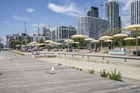 Coastal City: A Mix of Water, Urban, and Open Space