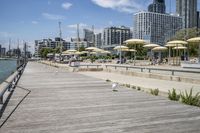 Coastal City: A Mix of Water, Urban, and Open Space