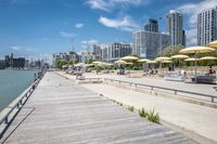 Coastal City: A Mix of Water, Urban, and Open Space