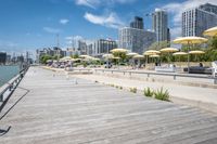Coastal City: A Mix of Water, Urban, and Open Space