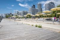 Coastal City: A Mix of Water, Urban, and Open Space