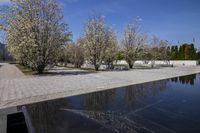 Coastal City Winter Scene with Clear Sky 003