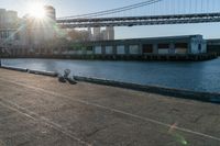 a couple of children and their skateboards near the water under a bridge that spans across a city street