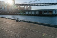 a couple of children and their skateboards near the water under a bridge that spans across a city street