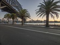 a view of an empty road with palm trees at the sides and bridge in the background