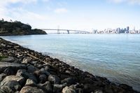 Coastal Cityscape: Views of the Ocean in San Francisco