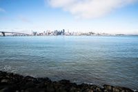 Coastal Cityscape: Views of the Ocean in San Francisco