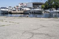 Coastal Cityscape of Toronto Waterfront 003