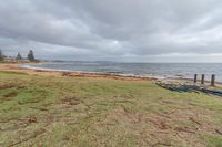 a field with two boats in the water on it next to the shore under a cloudy sky