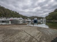 many boats in the water at a dock with trees and grass on the background on a cloudy day