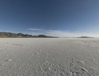 Coastal Desert: A Sunny Day with Clear Skies