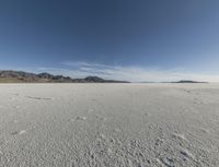 Coastal Desert: A Sunny Day with Clear Skies