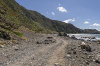 Coastal Drive in Te Ika-a-Māui, New Zealand