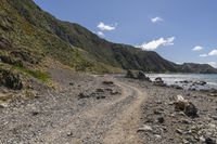 Coastal Drive in Te Ika-a-Māui, New Zealand