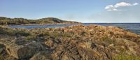 a view of the beach from a rocky shore line in the distance, with trees and grass growing near the water