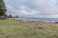 a grassy area near the ocean next to the sand beach with sticks drawn out for carving