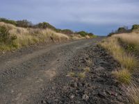 a dirt road is leading up to the hill from a grassy area and bushbery