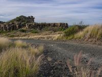 a dirt road is leading up to the hill from a grassy area and bushbery