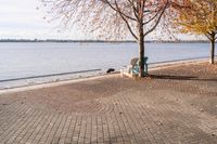 Coastal Horizon in Ontario, Canada