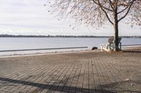 Coastal Horizon in Ontario, Canada