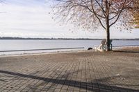 Coastal Horizon in Ontario, Canada