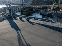 a bridge with several seagulls sitting on the walkway next to it and a body of water and mountains in the background