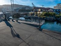 a bridge with several seagulls sitting on the walkway next to it and a body of water and mountains in the background