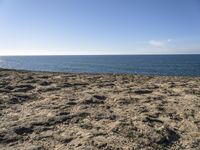 Coastal Landscape with Azure Water and Clear Sky in Portugal, Europe