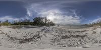 a beach has many sand and brush in it with trees on both sides of the beach