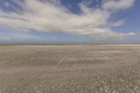 the dry, flat area in front of a vast sky with small clouds and a white car