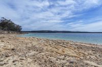 a beach with some trees and a body of water under a cloudy sky with some clouds