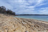 a beach with some trees and a body of water under a cloudy sky with some clouds