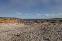 Coastal Landscape: Beach and Water