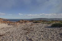 Coastal Landscape: Beach and Water