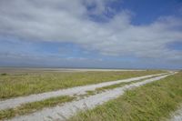 a man riding his bicycle down a dirt road in the middle of a grassy field