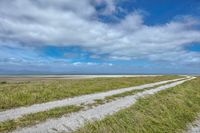 a man riding his bicycle down a dirt road in the middle of a grassy field