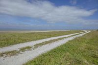 a man riding his bicycle down a dirt road in the middle of a grassy field