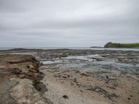 a wet sidewalk leading to the ocean with a bench in the foreground and an island in the background