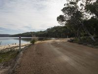 a gravel road runs along a beach with small boats in the water, and lots of trees