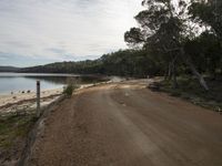 a gravel road runs along a beach with small boats in the water, and lots of trees