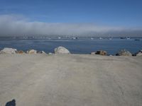 the sun is shining on some rocks along the water's edge with a dog laying at the edge and boats sailing in the distance