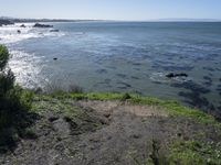 Coastal Landscape of California: High Cliffs 001