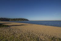 Coastal Landscape with Clear Sky: Beach and Ocean