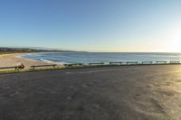 some cows are sitting on the curb next to the water by the beach and a grassy area is also full of benches