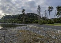 a beach with a lot of rocks next to water and trees in the background that appear to be a mountain