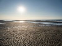 Coastal landscape at dawn in Holland, Netherlands