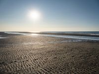 Coastal landscape at dawn in Holland, Netherlands