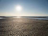 Coastal landscape at dawn in Holland, Netherlands